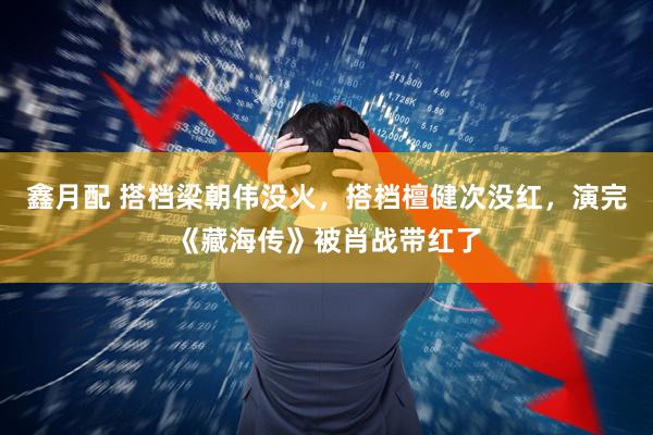 鑫月配 搭档梁朝伟没火，搭档檀健次没红，演完《藏海传》被肖战带红了