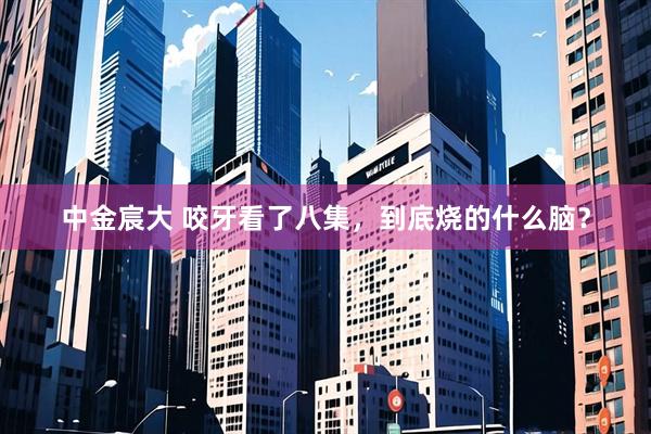 中金宸大 咬牙看了八集，到底烧的什么脑？