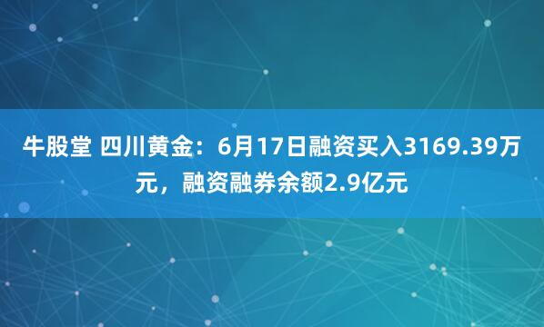 牛股堂 四川黄金：6月17日融资买入3169.39万元，融资融券余额2.9亿元