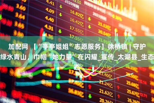 加配网 【“亭亭姐姐”志愿服务】徐桥镇 | 守护绿水青山，巾帼“她力量”在闪耀_宣传_太湖县_生态