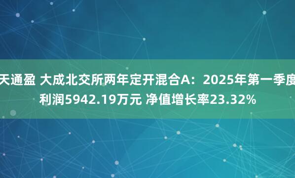天通盈 大成北交所两年定开混合A：2025年第一季度利润5942.19万元 净值增长率23.32%