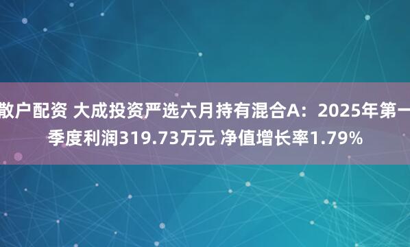 散户配资 大成投资严选六月持有混合A：2025年第一季度利润319.73万元 净值增长率1.79%