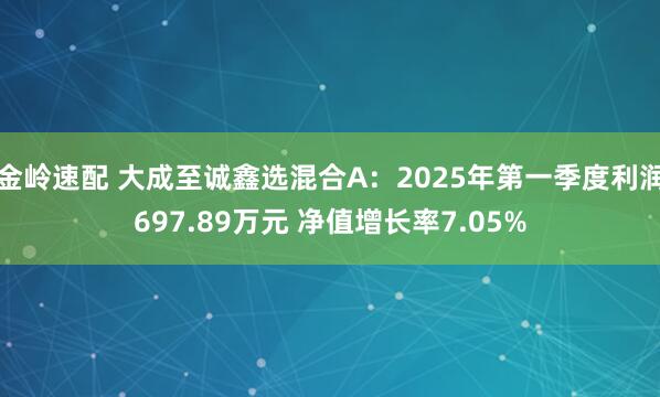 金岭速配 大成至诚鑫选混合A：2025年第一季度利润697.89万元 净值增长率7.05%