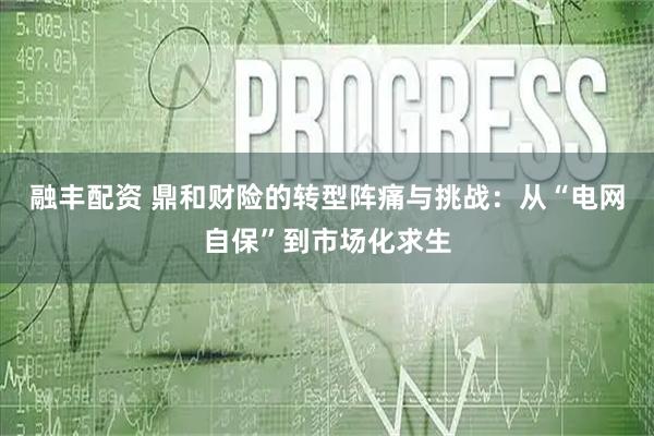 融丰配资 鼎和财险的转型阵痛与挑战：从“电网自保”到市场化求生