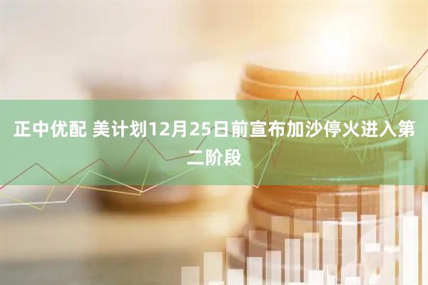 正中优配 美计划12月25日前宣布加沙停火进入第二阶段